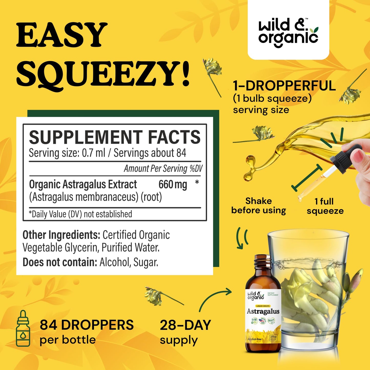 Wild & Organic Astragalus Root Extract Drops - Immune Support - Liquid Astragalus Supplement - Add to Tea & Mix with Powder - Membranaceus Herb - Vegan, Sugar & Alcohol-Free Tincture - 4 fl oz