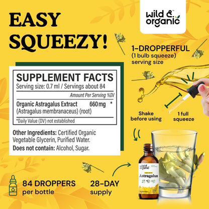 Wild & Organic Astragalus Root Extract Drops - Immune Support - Liquid Astragalus Supplement - Add to Tea & Mix with Powder - Membranaceus Herb - Vegan, Sugar & Alcohol-Free Tincture - 4 fl oz