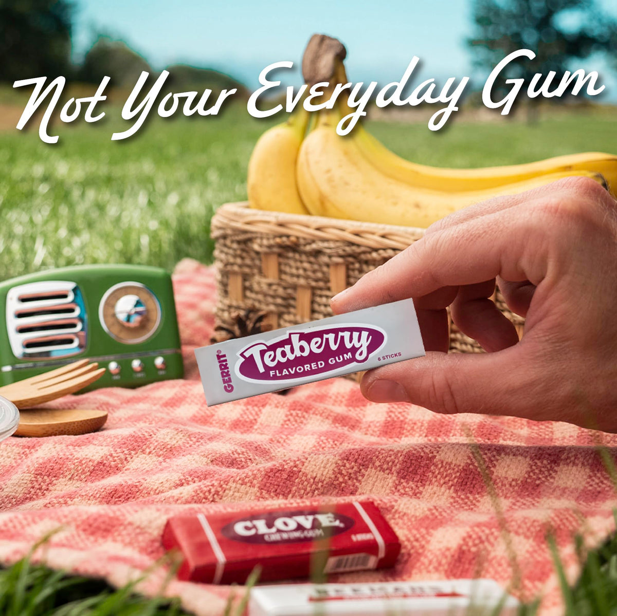 Gerrit's 20 Count Variety Gum Pack - Clove, Beeman's, Teaberry, & Black Jack Nostalgic Chewing Gum Bulk Pack, Old-Fashioned Candy, 4 Flavors, Old School Candy