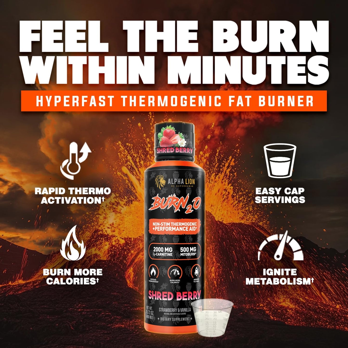 ALPHA LION Burn2O L-Carnitine Liquid 2000mg – Stim Free Super Thermogenic Fat Burner with MitoBurn® & CaloriBurn GP®, Metabolism Booster, Zero Calorie, Sugar-Free (31 Servings, Grapezilla Flavor)