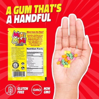 Gerrit’s Mini Mini Fruit Chicles Gum, 0.79 Ounce Pouches - 20 Count Display Box
