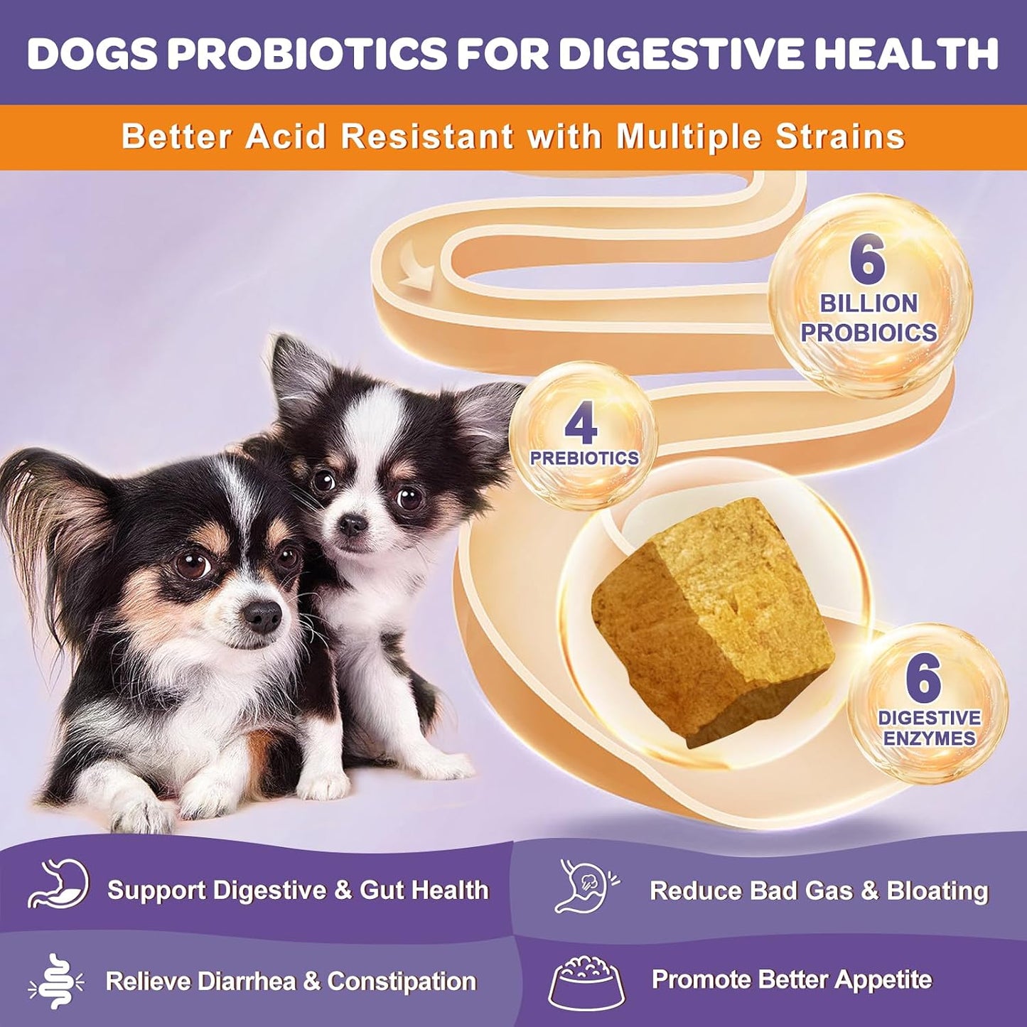 NATURE TARGET Probiotics for Dogs, 6 Billion CFUs, Freeze Dried, 180 Chews | 12 Strains with Prebiotics & Digestive Enzymes, Diarrhea & Gas Relief, Supports Immune & Gut, Allergy Relief, Chicken Flavor
