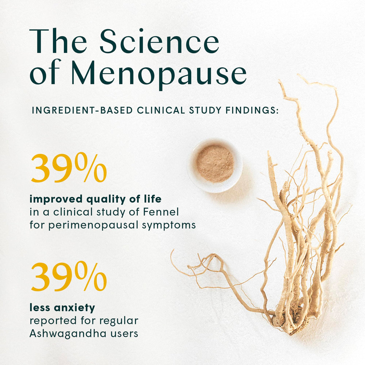 Wile Perimenopause Supplement for Women with Ashwagandha, Kudzu Root, Hops Extract