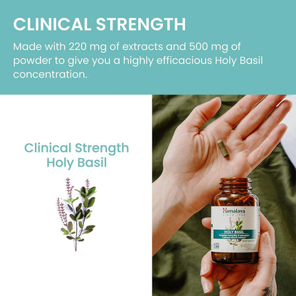 Himalaya Holy Basil Supplement, Reduce Cortisol, 720mg, 60 Capsules