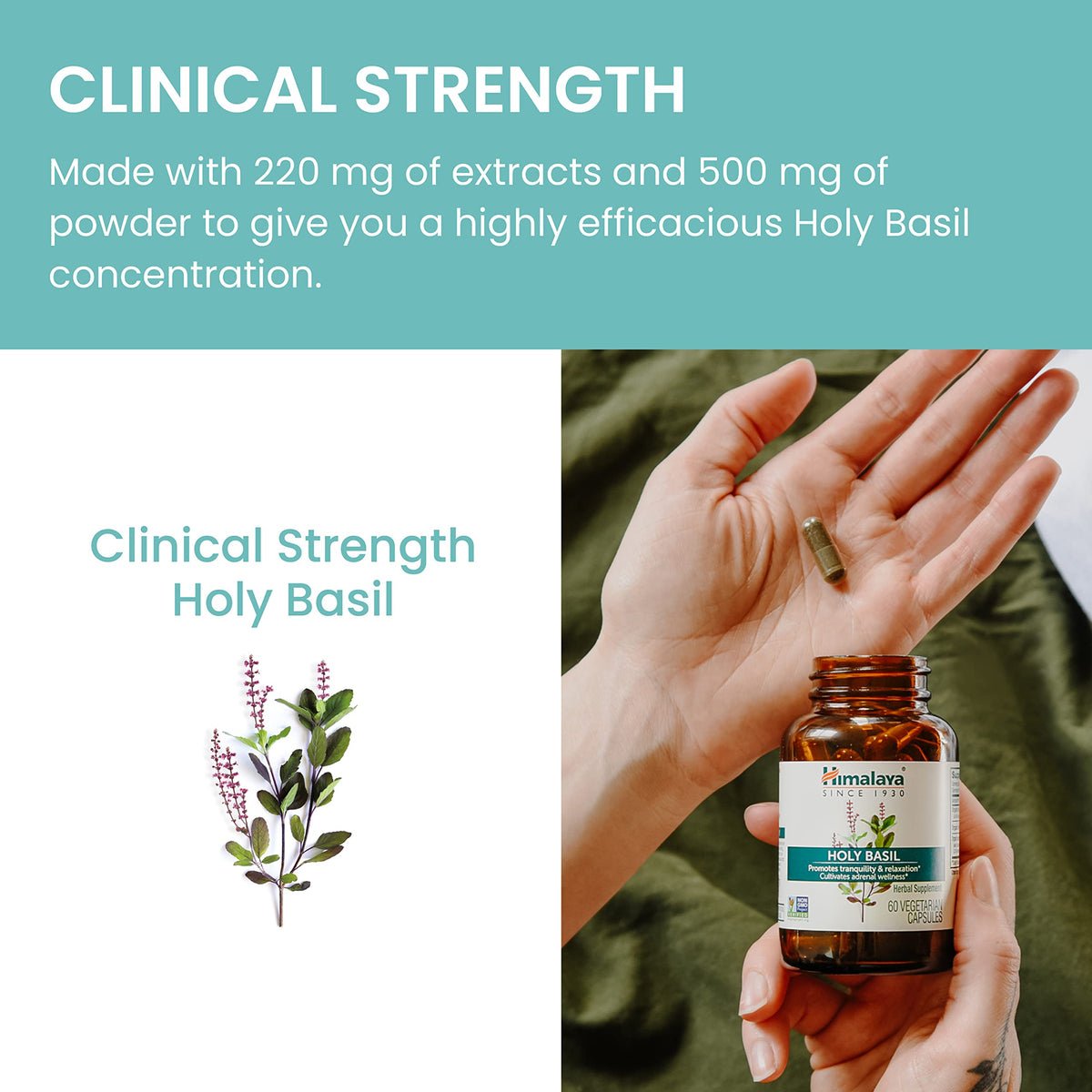 Himalaya Holy Basil Supplement, Reduce Cortisol, 720mg, 60 Capsules