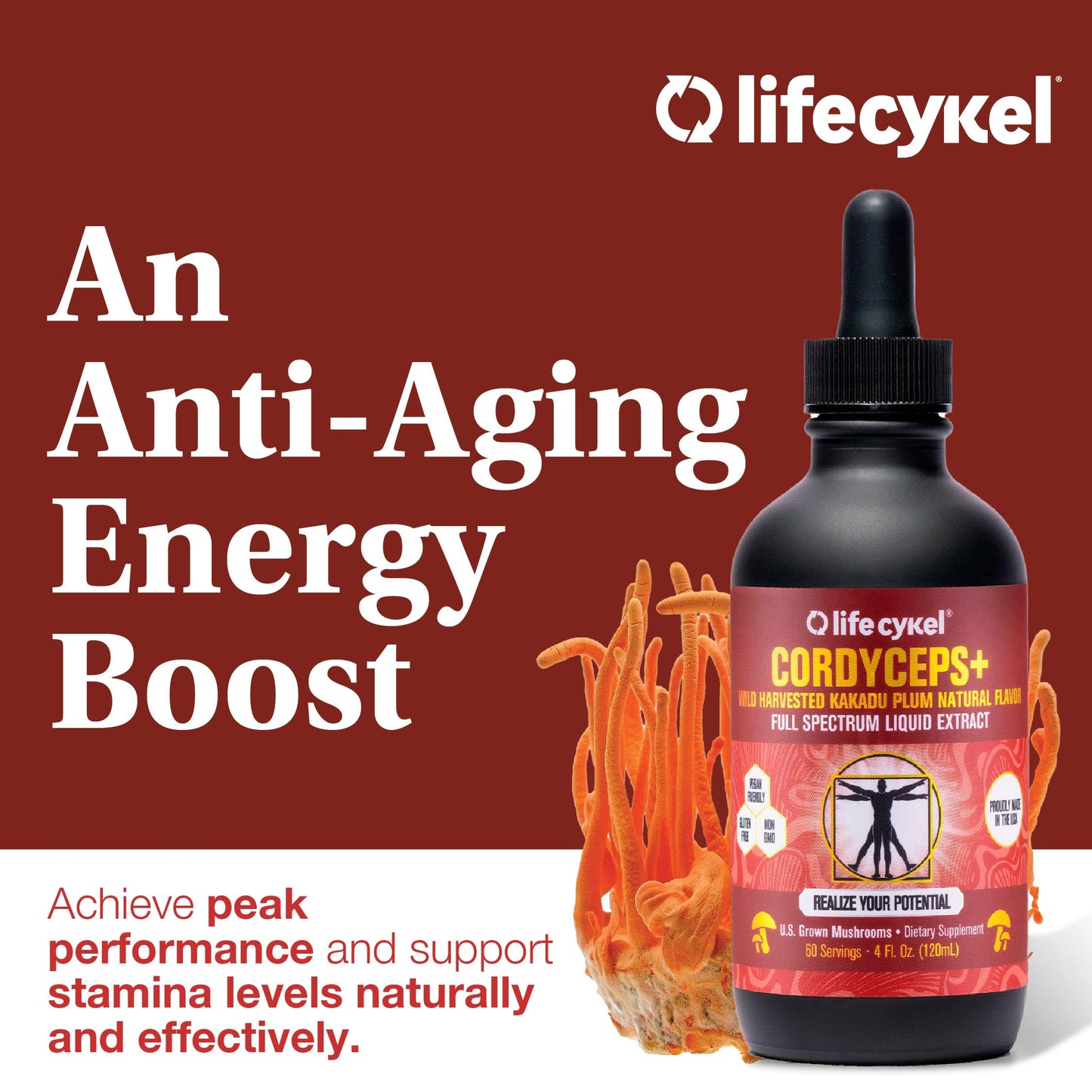 Life Cykel Cordyceps Mushroom Extract with Kakadu Plum - Energy, Stamina & Vitality Support, Natural Aging Supplement - Non-GMO and Vegan Tincture - 4Fl Oz