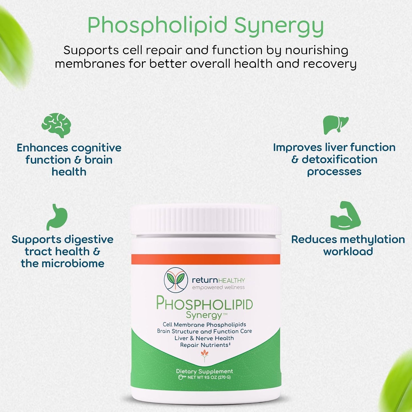 Cell Stabilization Kit - 5-in-1 Mitochondrial Supplements for Cellular Vitality, Gut Health & Brain Support - Health Essentials, Wellness Protocol - Non-GMO, Plant-Based, USA-Made