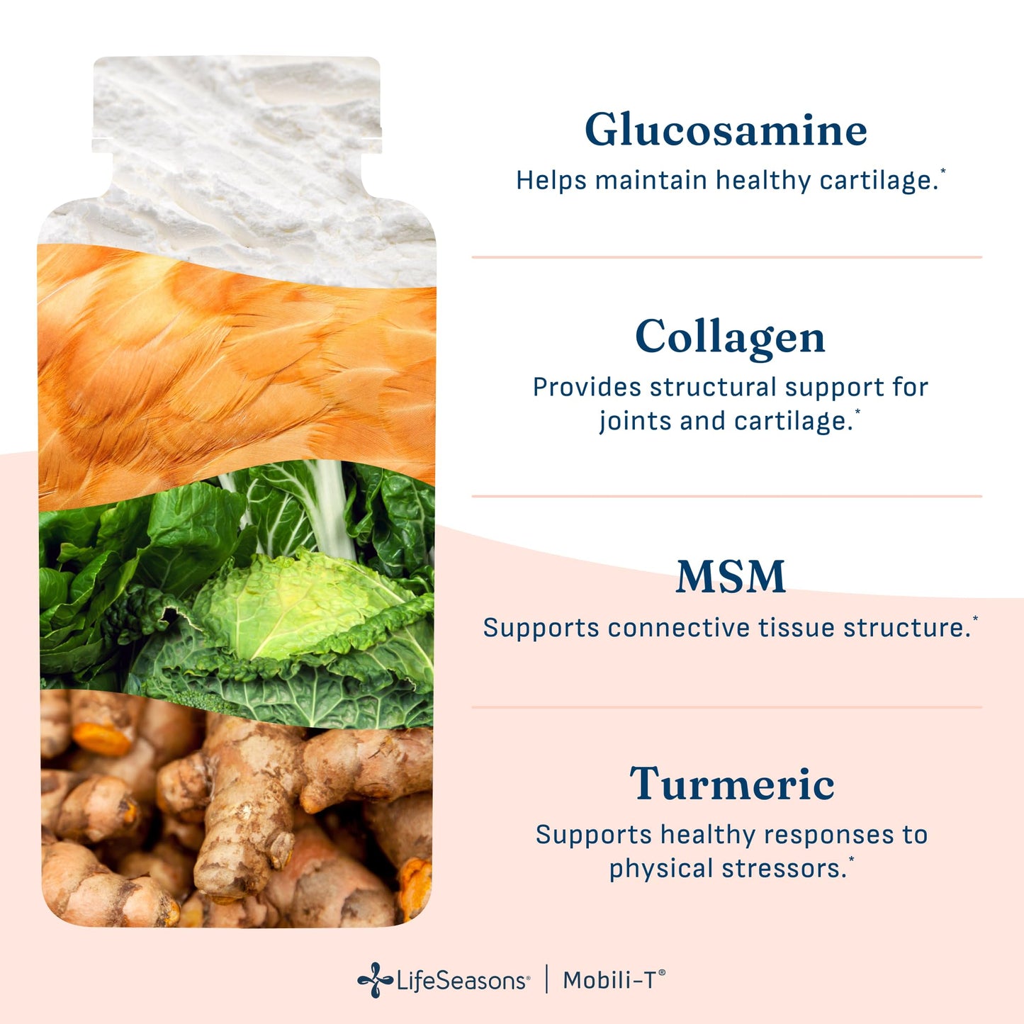 LifeSeasons Mobili-T - Joint Support Supplement - Reduces Aches & Discomforts - Increase Range of Motion - Rebuild Tissue & Cartilage - MSM Chondroitin Collagen Glucosamine & Turmeric - 120 Capsules