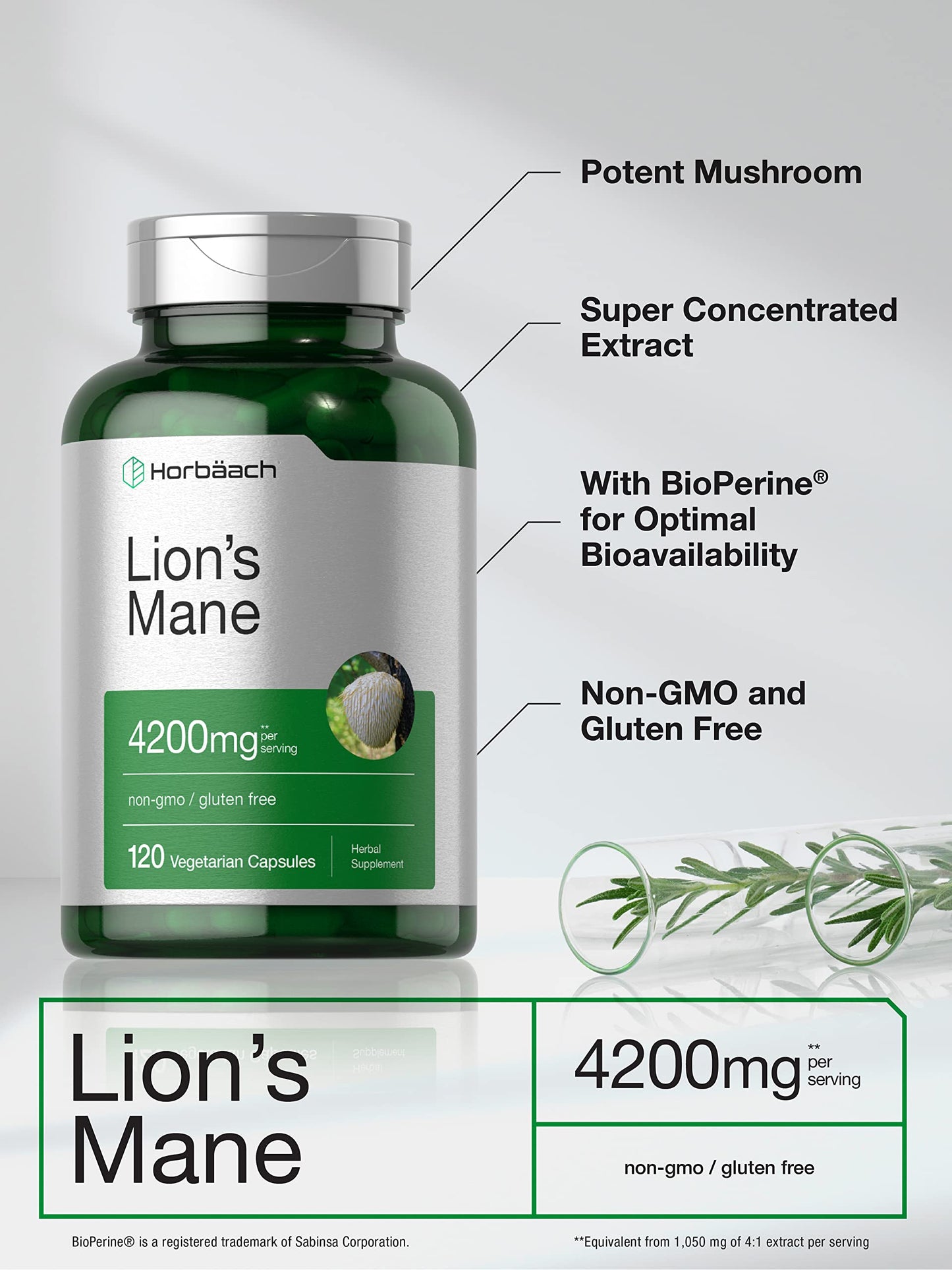 Horbäach Lions Mane Mushroom Extract | 120 Capsules | Vegetarian, Non-GMO, Gluten Free Supplement