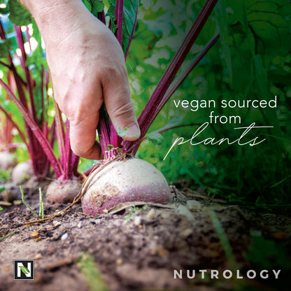 Nutrology Beet Natural O2, Pre Workout Powder, Energy, Endurance; Nitric Oxide Booster