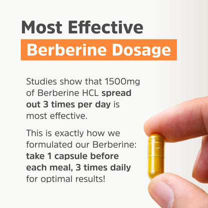 Clean Label Berberine Supplement 1500mg - Ultra Pure 98% Berberine HCl, Highest Purity