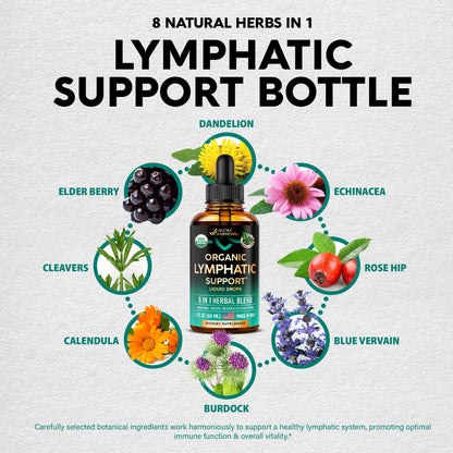USDA Organic Lymphatic Drainage Supplement - Echinacea | Elderberry | Dandelion | Rosehip | Cleavers | Calendula | Burdock - Lab Tested - Lymph System Drops - Immune Support, Cleanse & Detox, 2 fl oz