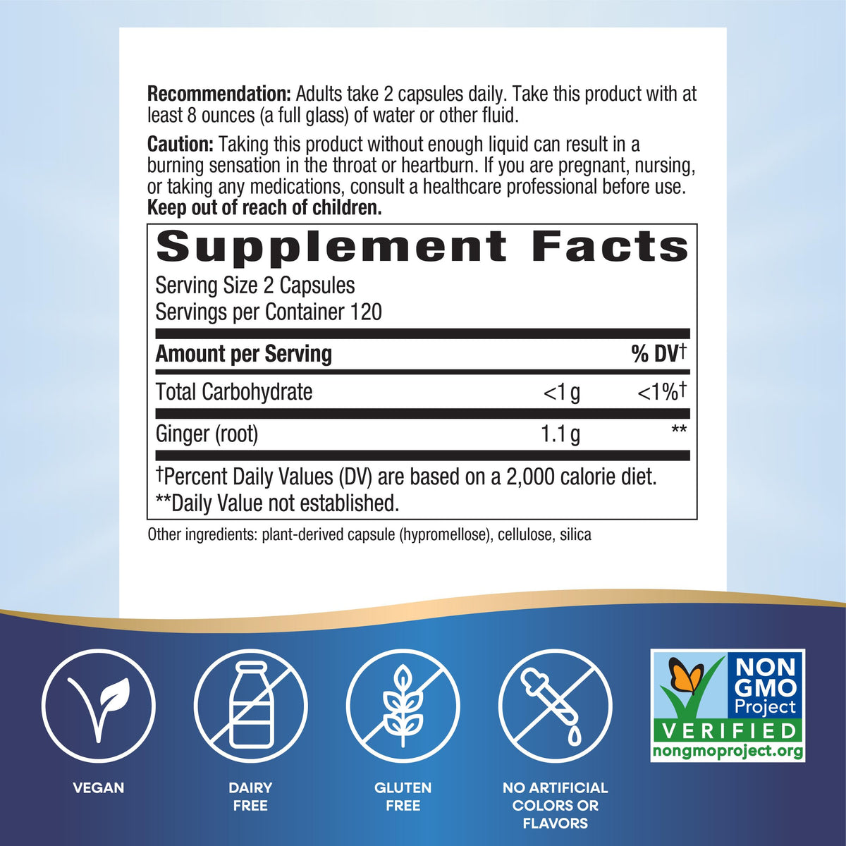 Nature's Way Ginger Root, Promotes Digestive Comfort*, 1,100 mg Per 2-capsule Serving