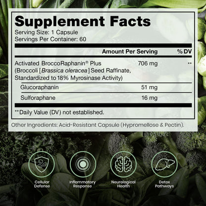 Pure Therapro Rx Extra Strength Sulforaphane Supplement from Broccoli Seed Extract | Made in USA | ONE Capsule Per Serving (Other Brands are 2 Caps!) | 3rd Party Tested | OncoProtect ES