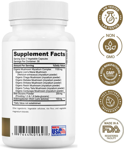 Brain Longevity Stack - ALA & ALC Complex + Adaptogen Complex + 7 Mushroom Complex + Brain Support + Magnesium Bisglycinate Bundle | Energy, Focus, Stress Support, Immunity, Cognitive Function