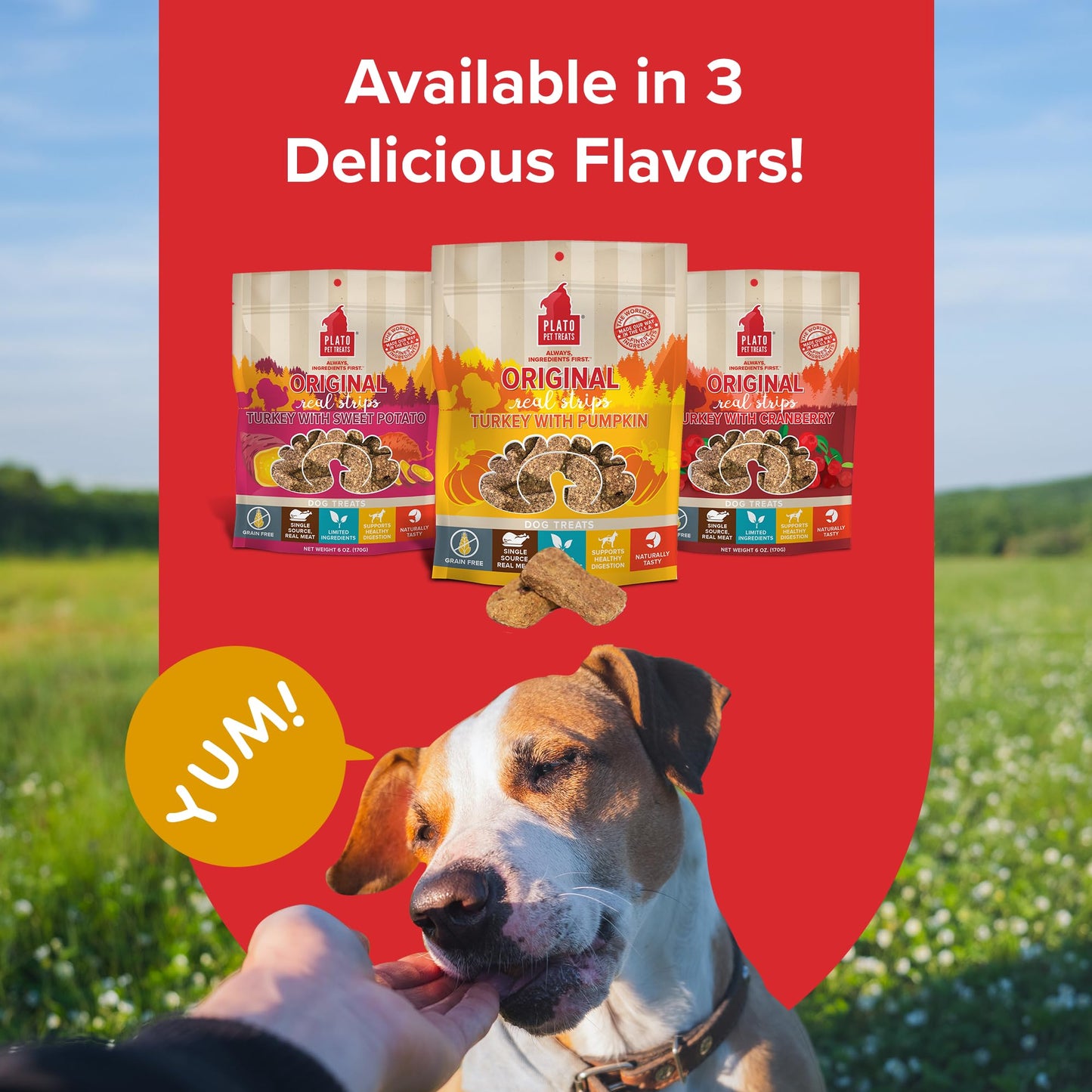 Plato Pet Treats Real Strips - Air-Dried Meat Bars for Dogs - Delicious, Limited Ingredient Dog Treats - Grain Free - Original Real Strips Turkey & Pumpkin 18oz - 2 Pack