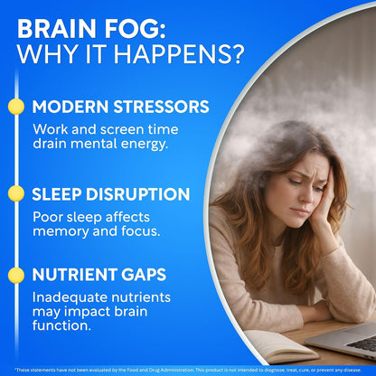 Brain Fog Supplement for Women – Memory & Focus Support for Perimenopause and Menopause – Cognitive Support with Phosphatidylserine, CognatiQ & L-Theanine – Brain Health Capsules – 60 Count