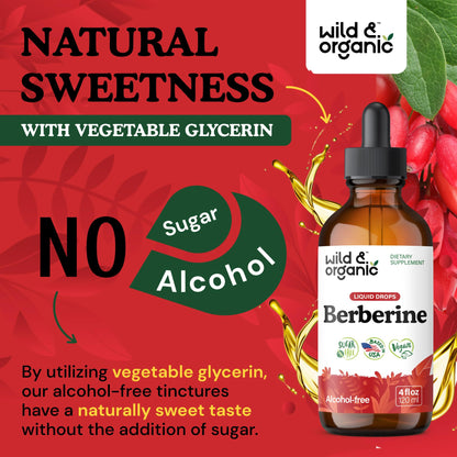 Wild & Organic Berberine Drops - Antioxidant Support - Liquid Berberine HCL 500mg - Add to Tea Supplement - Berberis Aristata Bark Extract - Pure, Vegan, Alcohol & Sugar-Free Tincture - 4 fl oz