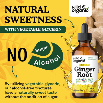 Wild & Organic Ginger Root Extract Drops - Immune & Digestive Support - Liquid Ginger Supplements - Easy to Add to Tea - Vegan, Sugar & Alcohol-Free Tincture - 4 fl oz