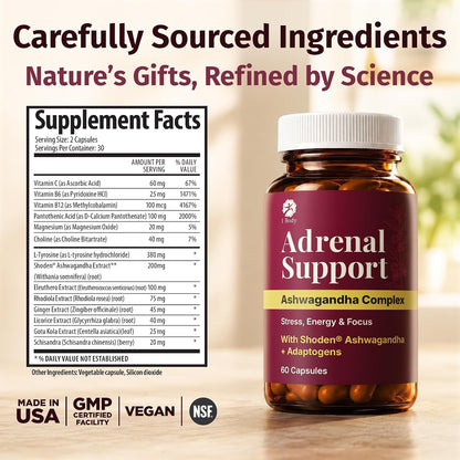 1 Body Adrenal Support Supplement, Shoden Ashwagandha + Cortisol, 60 Caps