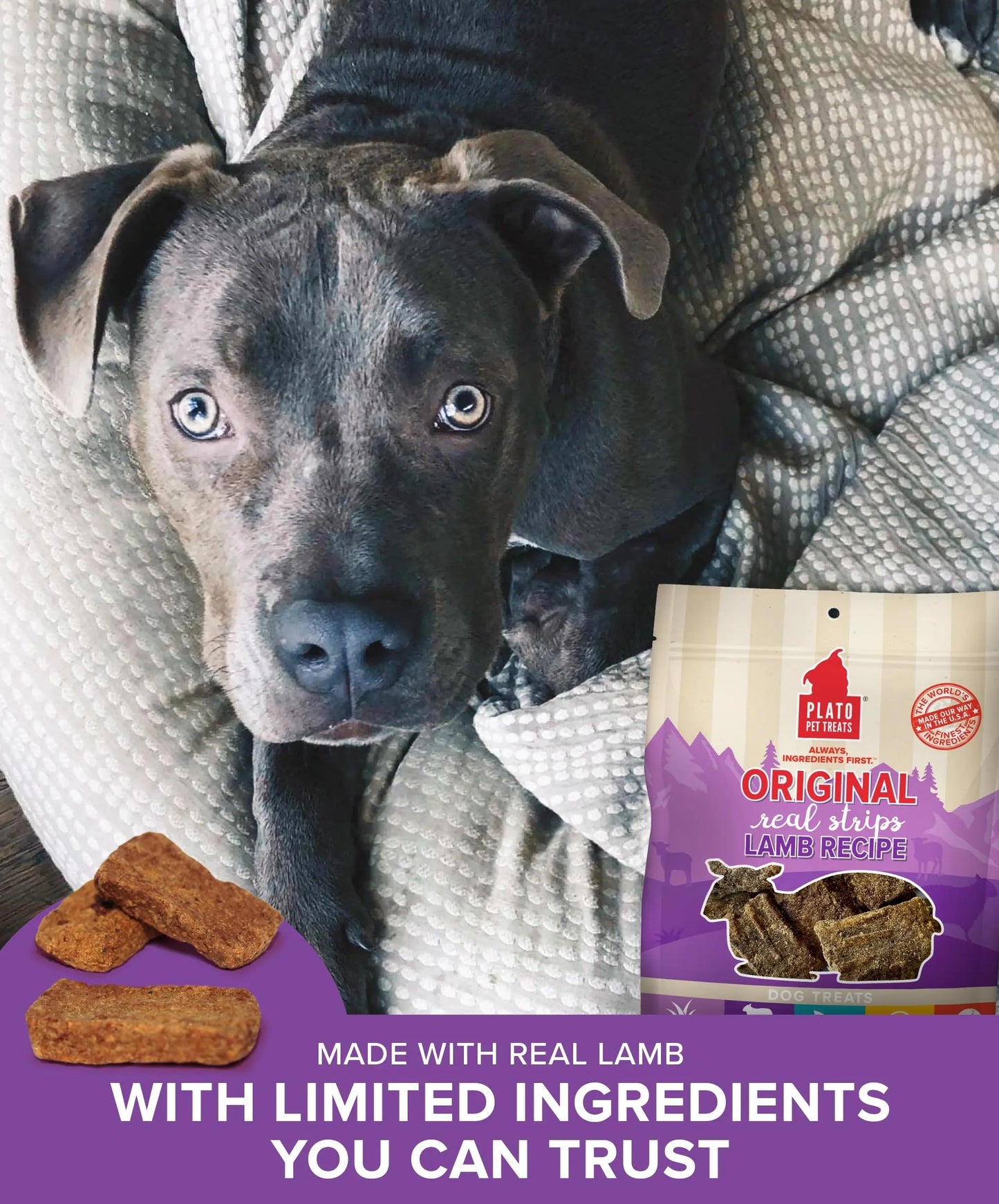 Plato Pet Treats Real Strips - Air-Dried Meat Bars for Dogs - Delicious, Limited Ingredient Dog Treats - Grain Free - Original Real Strips Turkey & Pumpkin 18oz - 2 Pack