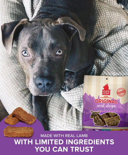 Plato Pet Treats Real Strips - Air-Dried Meat Bars for Dogs - Delicious, Limited Ingredient Dog Treats - Grain Free - Original Real Strips Turkey & Pumpkin 18oz - 2 Pack