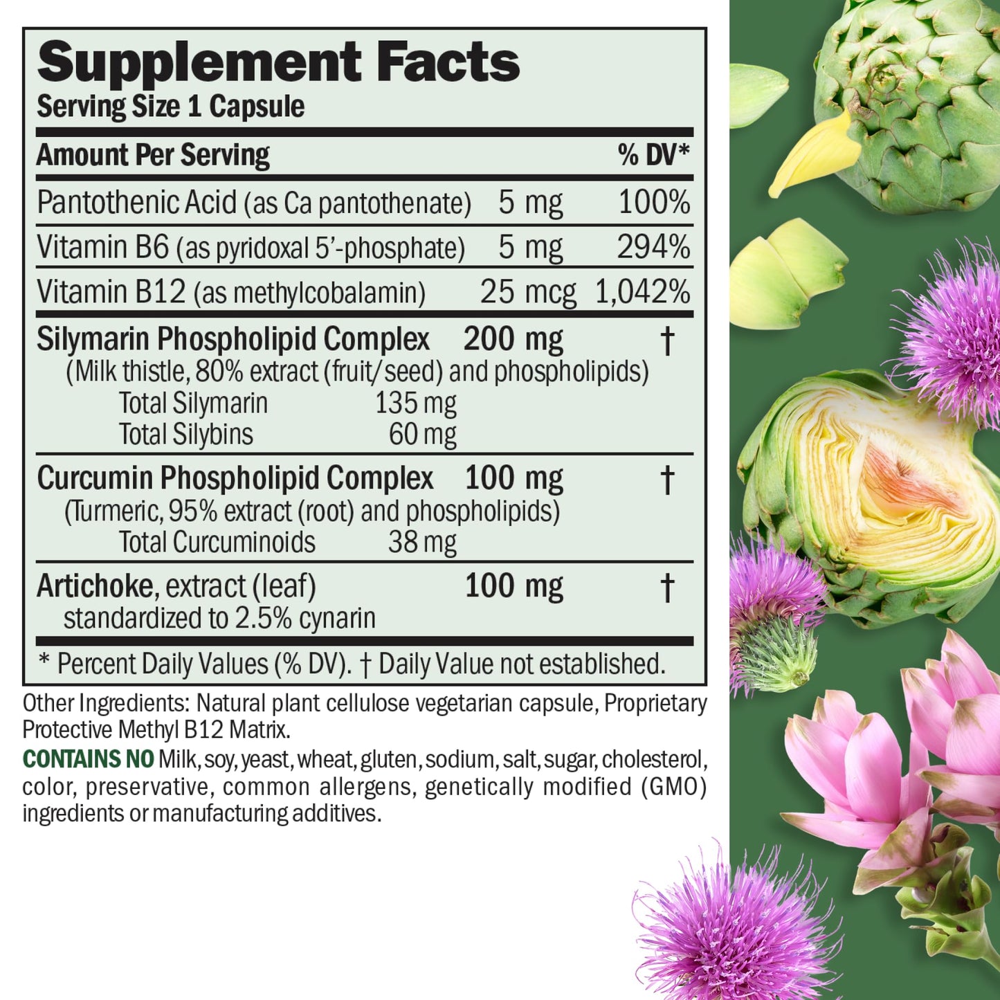 Andrew Lessman Liver Anti-Oxidant Extracts 60 Capsules | Milk Thistle & Curcumin phospholipid complexes for enhanced absorption. Includes Artichoke & B Vitamins.