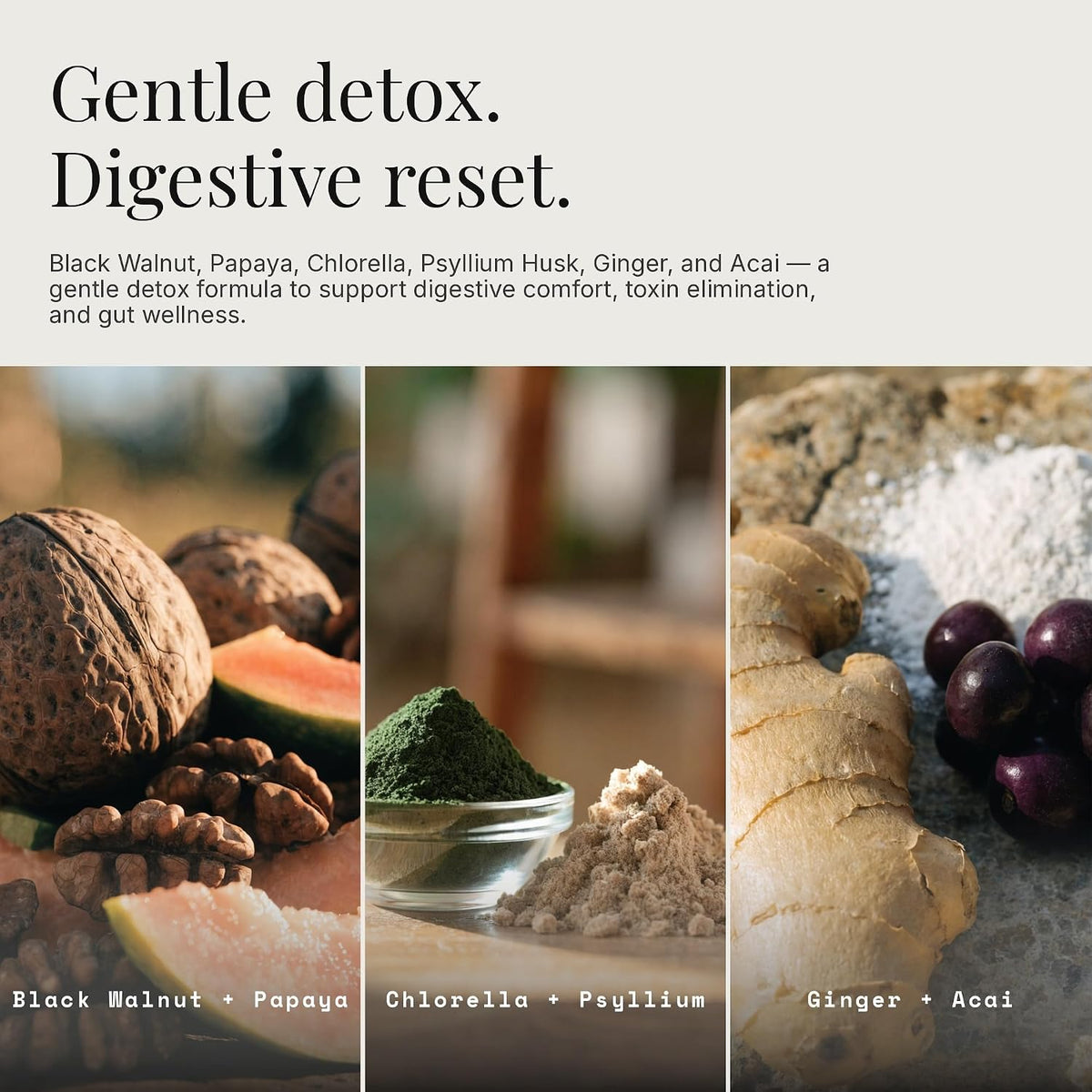 Detoxify Advanced Cleanse - Black Walnut Papaya Seed Herbal Formula - Gut Health Support with Chlorella Psyllium Aloe Fiber - Intestinal Wellness Blend - Vegan Non-GMO Gluten-Free - 60 Capsules
