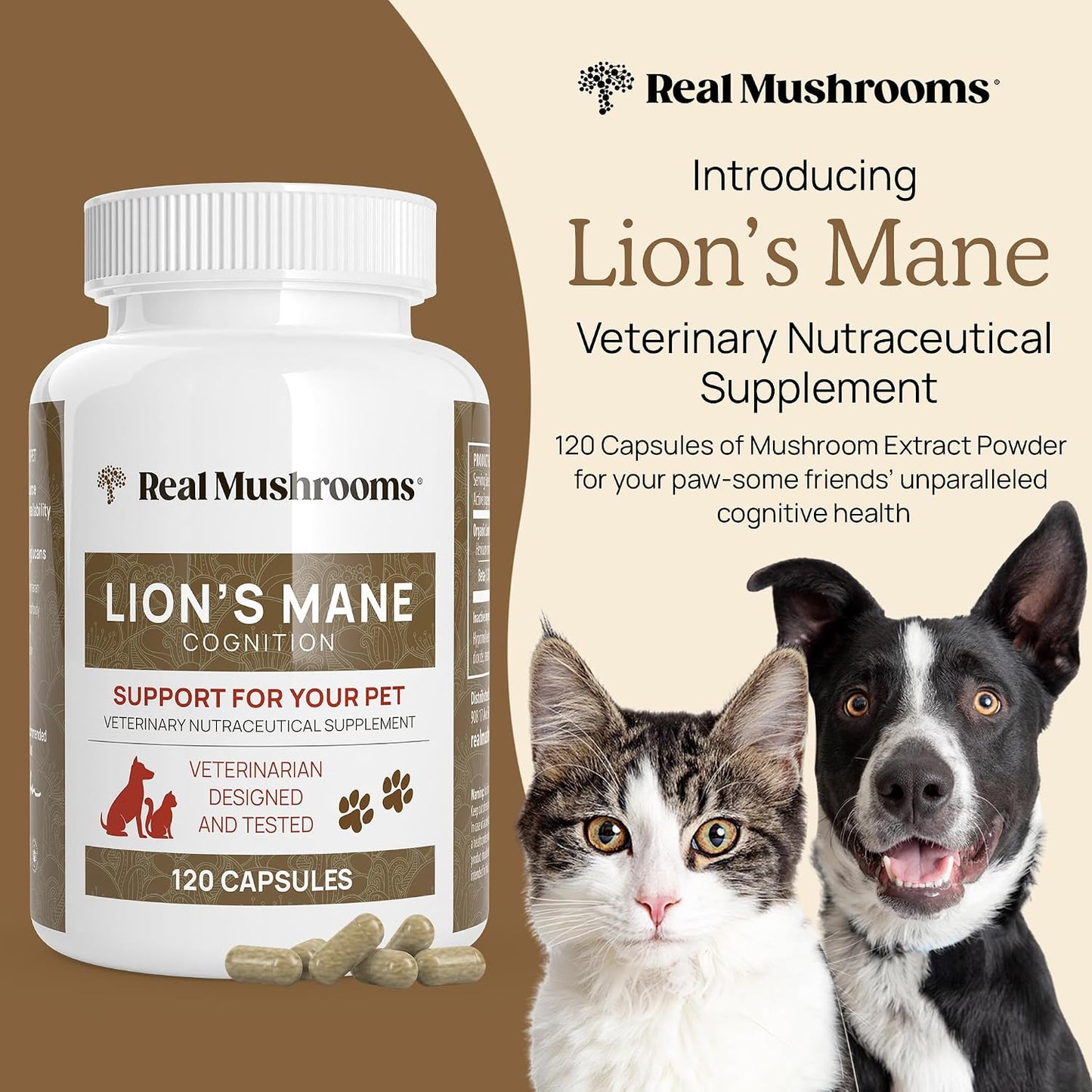 Real Mushrooms Lions Mane for Humans (300ct) and Pets (120ct) - Bundle for Cognition & Immunity - Vegan, Non-GMO, Gluten-Free, Grain-Free Mushroom Extract Supplements