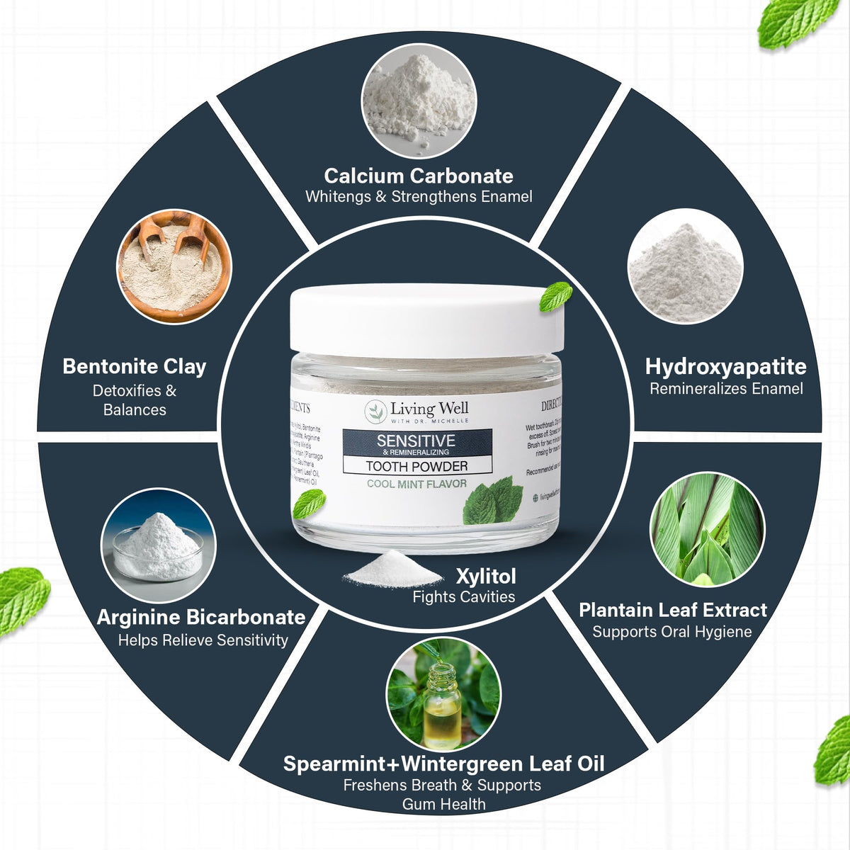 Living Well Dr. Michelle Remineralizing & Whitening Tooth Powder, Cool Mint
