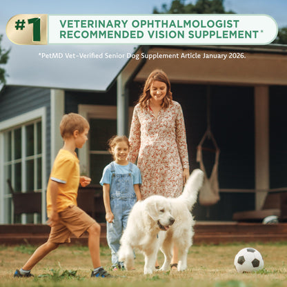 Vision Supplement for Medium to Large Dogs, 11+ lb, 90 Count | Veterinarian-Formulated Supplement Specifically Supports Eye Health; Unflavored & Easy to Give