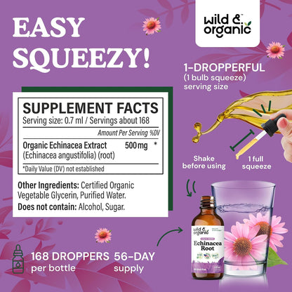 Wild & Organic Echinacea Drops - Immune & Lymphatic Drainage Drops - Liquid Echinacea Supplement - Add to Tea Tincture - Angustifolia Herb Extract - Vegan, Sugar & Alcohol-Free - 4 fl oz