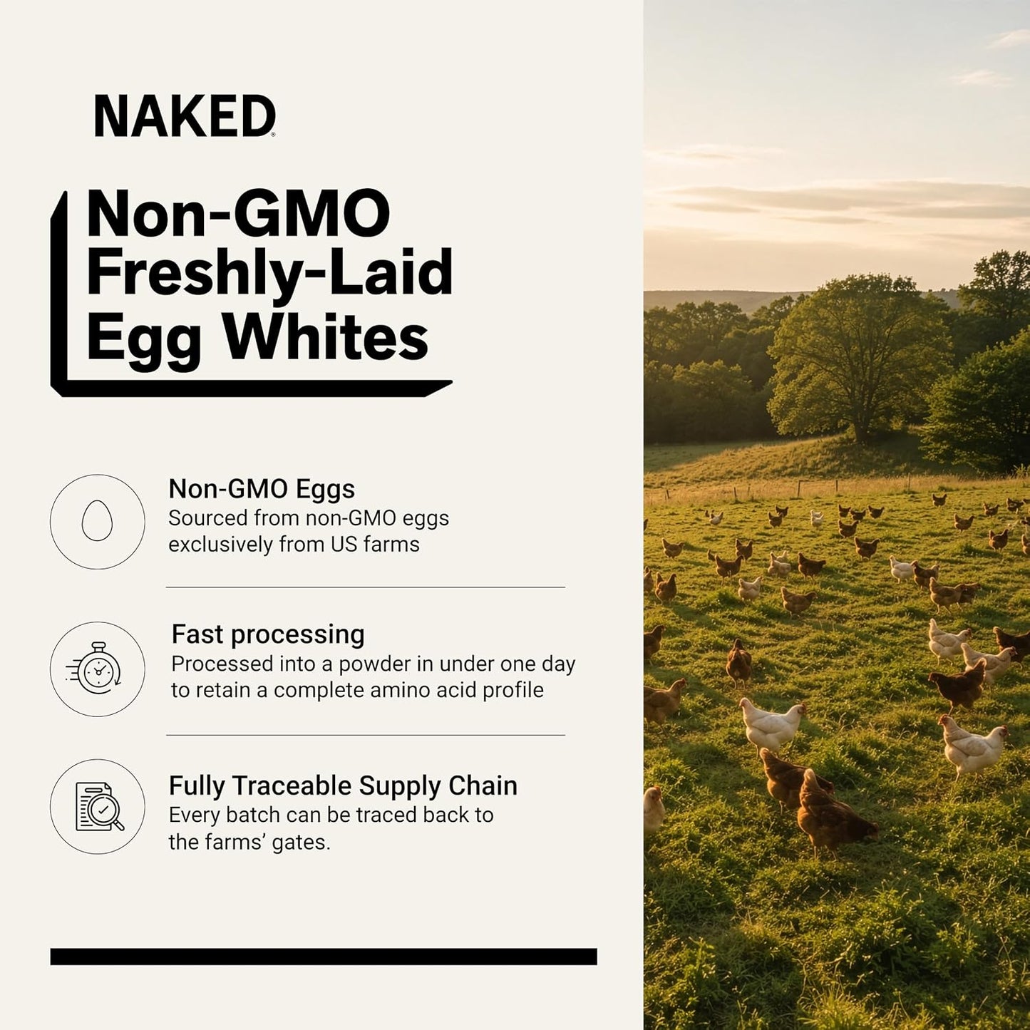 Naked 3LB Non-GMO Egg White Protein Supplement Powder, Unflavored, No Additives, Paleo, Dairy Free, Gluten Free, Soy Free – 25g Protein, 44 Servings, 3 pounds