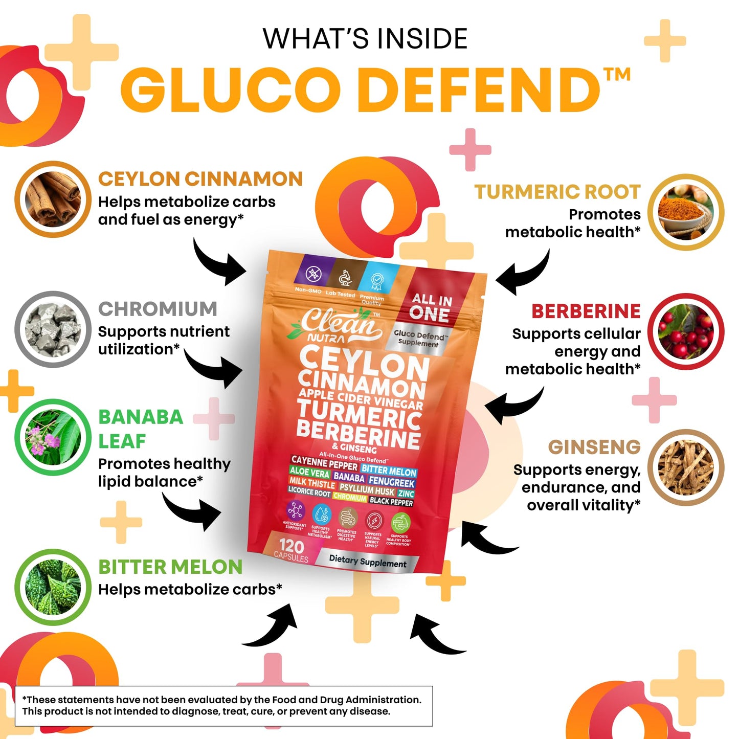 Clean Nutraceuticals Ceylon Cinnamon Capsules + Berberine Turmeric Apple Cider Vinegar Ginseng Bitter Melon (Karela) Gymnema Milk Thistle Fenugreek Supplement Pills Powder for Men & Women