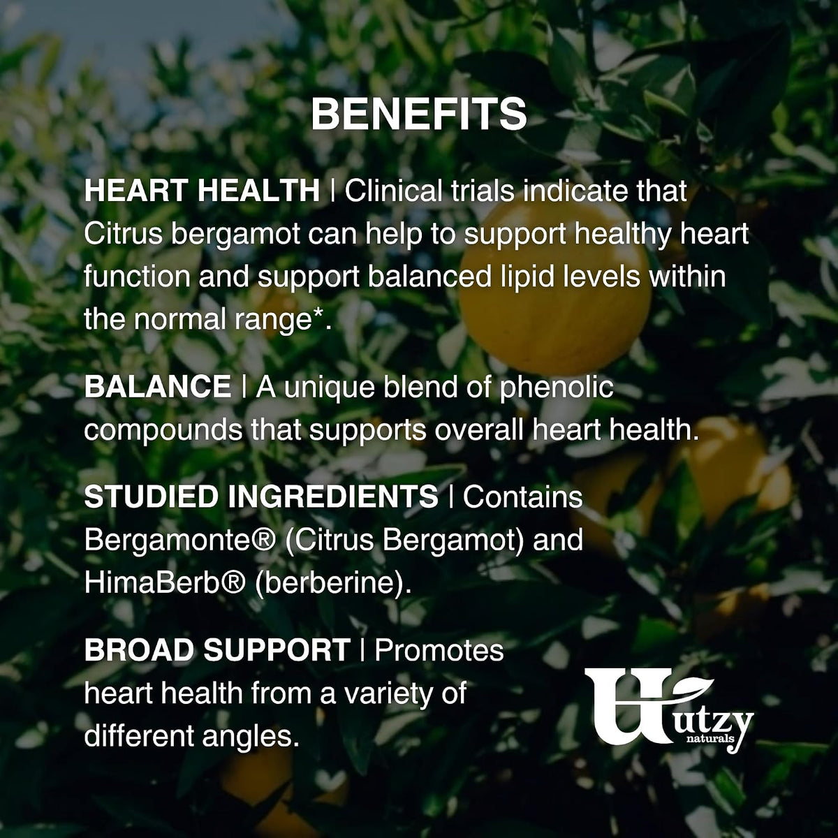 Utzy Naturals Lipid Support Bundle | Berbercol, 60 Capsules, and Omega-3 Fish Oil, 60 Capsules