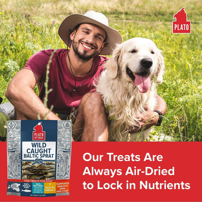 Plato Pet Treats Fish Dog Treats - Air-Dried, Single Ingredient Pet Treat - Omega 3 & 6 Fatty Acids to Support Skin and Coat - 100% Whole Fish - Wild Caught Baltic Sprat - 3 oz - 2 Pack