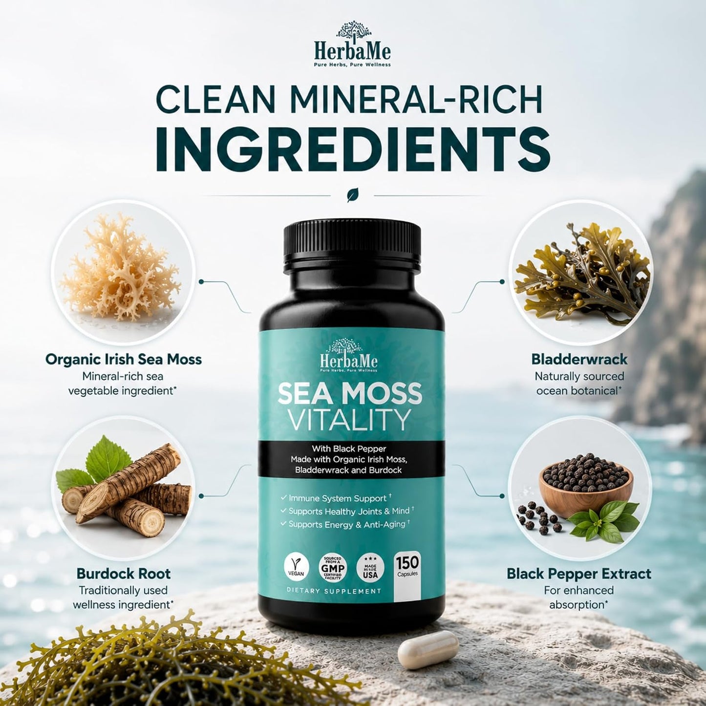 HerbaMe Organic Sea Moss Supplement with Bladderwrack & Burdock Root, Irish Moss with Black Pepper Extract, Daily Mineral Support for Energy & Wellness, Immune Support for Men & Women, 150 Capsules