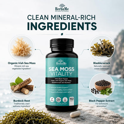 HerbaMe Organic Sea Moss Supplement with Bladderwrack & Burdock Root, Irish Moss with Black Pepper Extract, Daily Mineral Support for Energy & Wellness, Immune Support for Men & Women, 150 Capsules