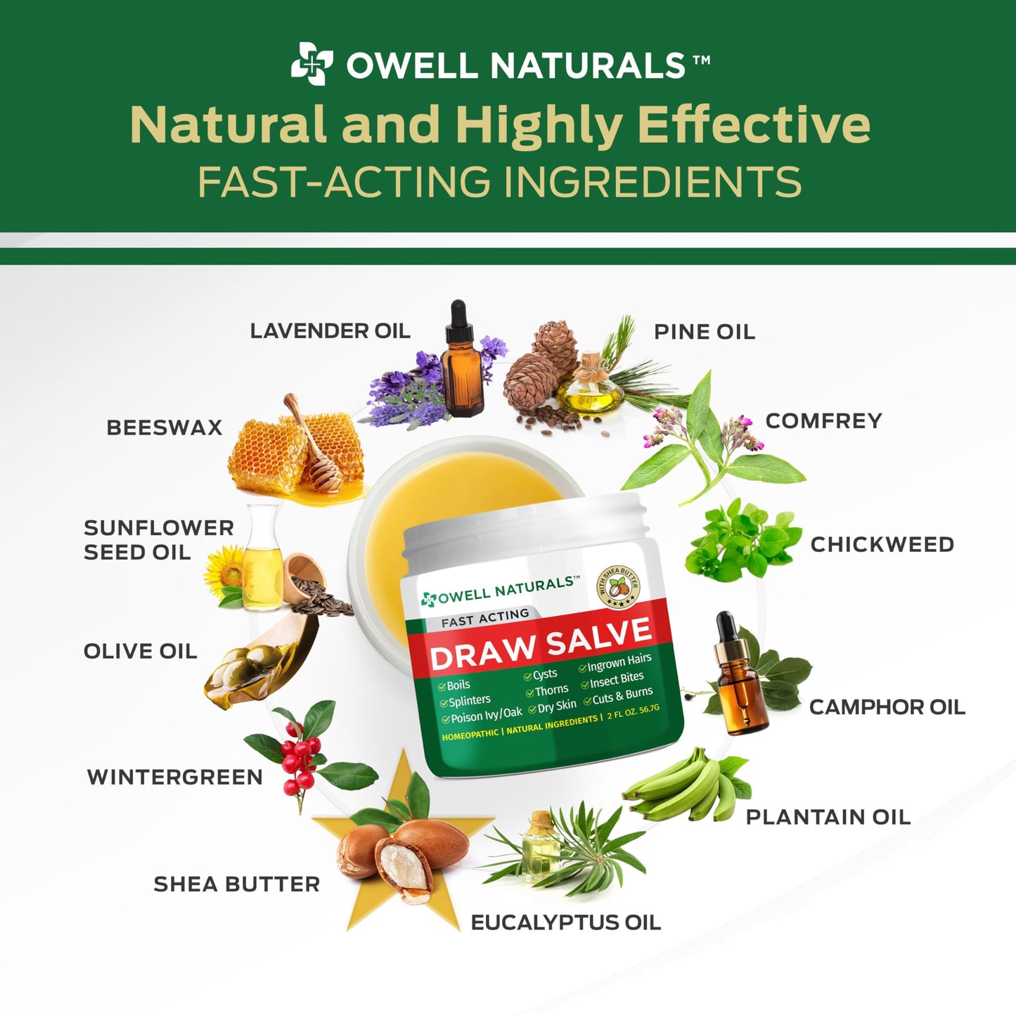 Owell Naturals Drawing Salve Ointment with Pure Shea Butter, for ingrown Hair, Boil, Splinter Remover, Bug Spider Bites, Bee Sting, Mosquito Itch, Poison Ivy, Burns & Cuts,1 Fl Oz (Pack of 1)