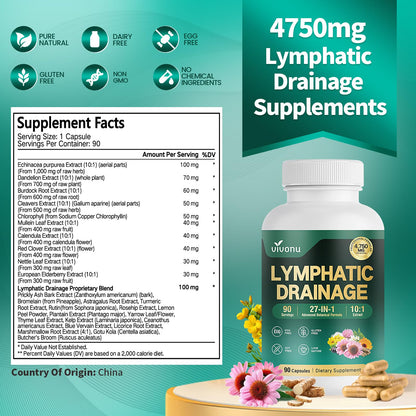 VivoNu 27-in-1 Liposome Lymphatic Drainage Supplements, 90 Day Supply with Echinacea, Chlorophyll, Dandelion, Burdock, Mullein Leaf Extract for Lungs, 10:1 Concentrated Technology, 90 Capsules