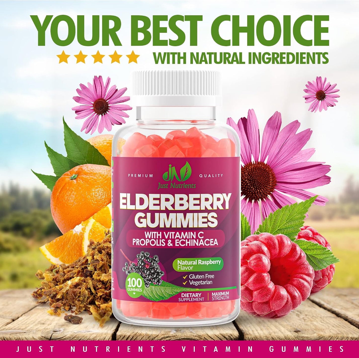 Elderberry 200mg Gummies with Vitamin C, Echinacea, Propolis (100 count) | Immune Support for Adults & Kids - Maximum Strength, Great Tasting Raspberry Flavor - Gluten-Free, Vegan