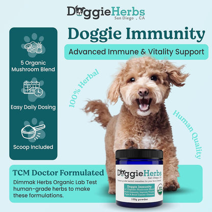 High Potency Immune Support – Critical Care Formula with Turkey Tail, Reishi & TCM Mushrooms + Herbs – Doctor Formulated Powder for Recovery, Vitality & Cellular Health 100g