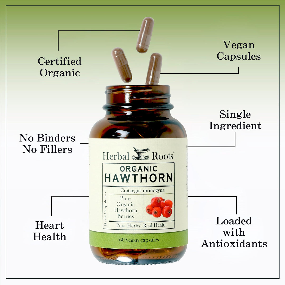 Herbal Roots Organic Hawthorn Berry Capsules | Extra Strength 1,200mg per Serving