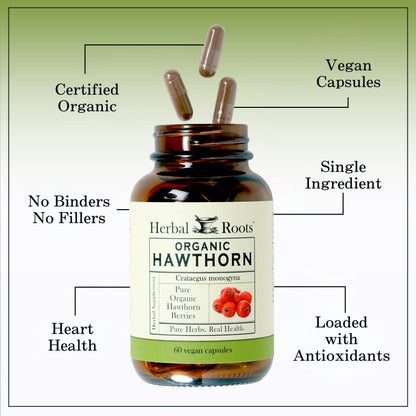 Herbal Roots Organic Hawthorn Berry Capsules | Extra Strength 1,200mg per Serving