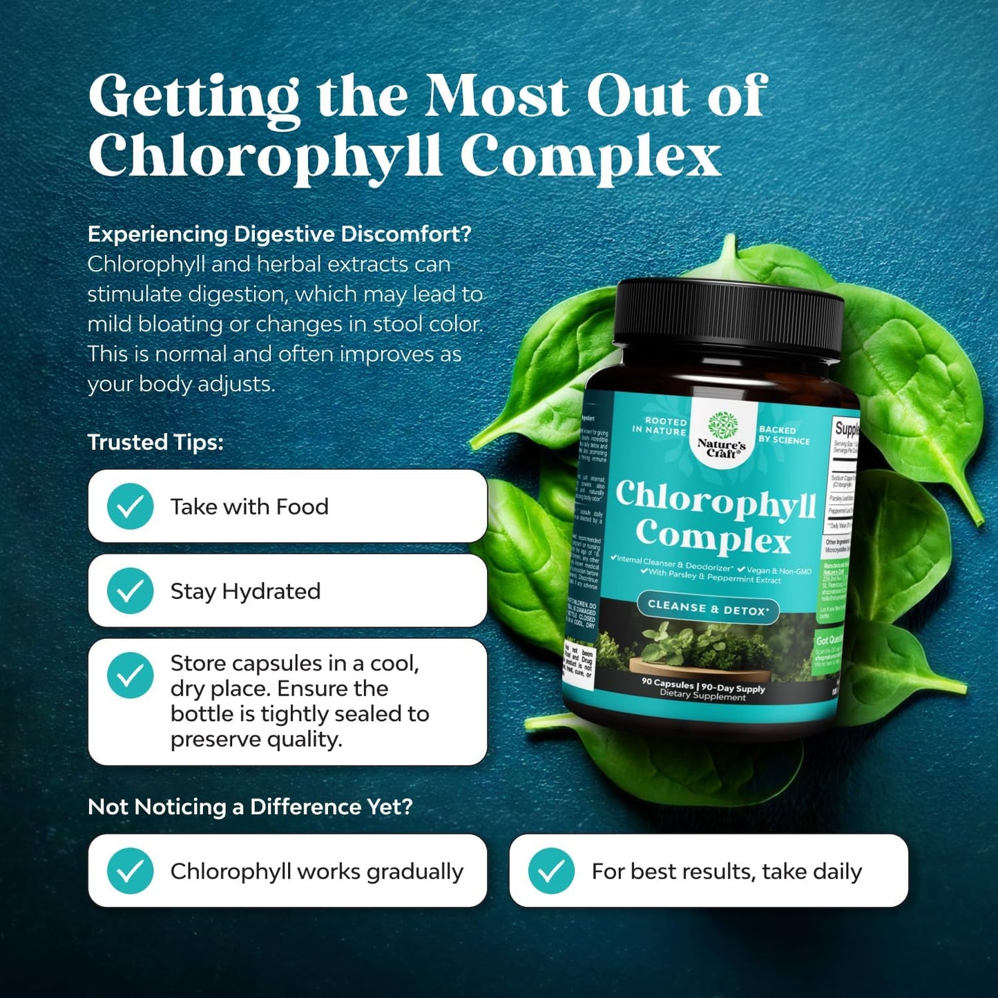 Chlorophyll Capsules for Cleanse and Detox Support - Internal Deodorant Pills for Body Odor with Mint & Parsley Extract Healthy Skin Immunity & Digestive Support - Vegan Non-GMO & Gluten Free (60ct)