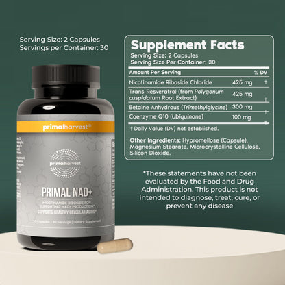 Primal Harvest NAD+ - Daily Vegan Supplement, Gluten & Dairy Free