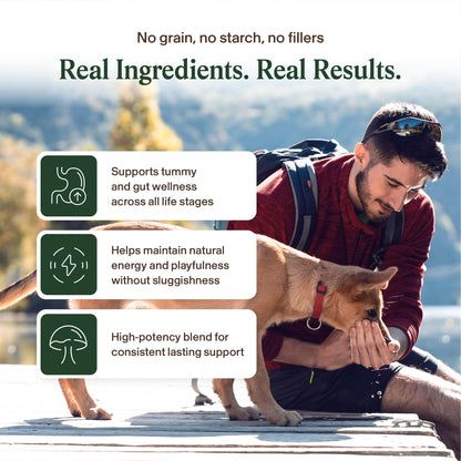 Real Mushroom Immune Pet Chews – For Daily Digestive & Immune Health – Mushrooms for Dogs & Cats Functional Treat – Mushroom Supplement for Dogs & Cats – 1 to 4 Chews For All Breeds & Sizes (60 Count)