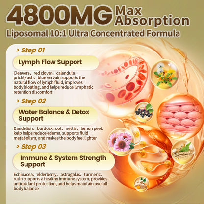 21-in-1 Liposome Lymphatic Drainage Supplements, 90 Day Supply, 4800mg Immune & Lymph System Support, 10:1 Concentrated Technology, Echinacea, Dandelion, Burdock, Bromelain, Calendula, 2 Bottle