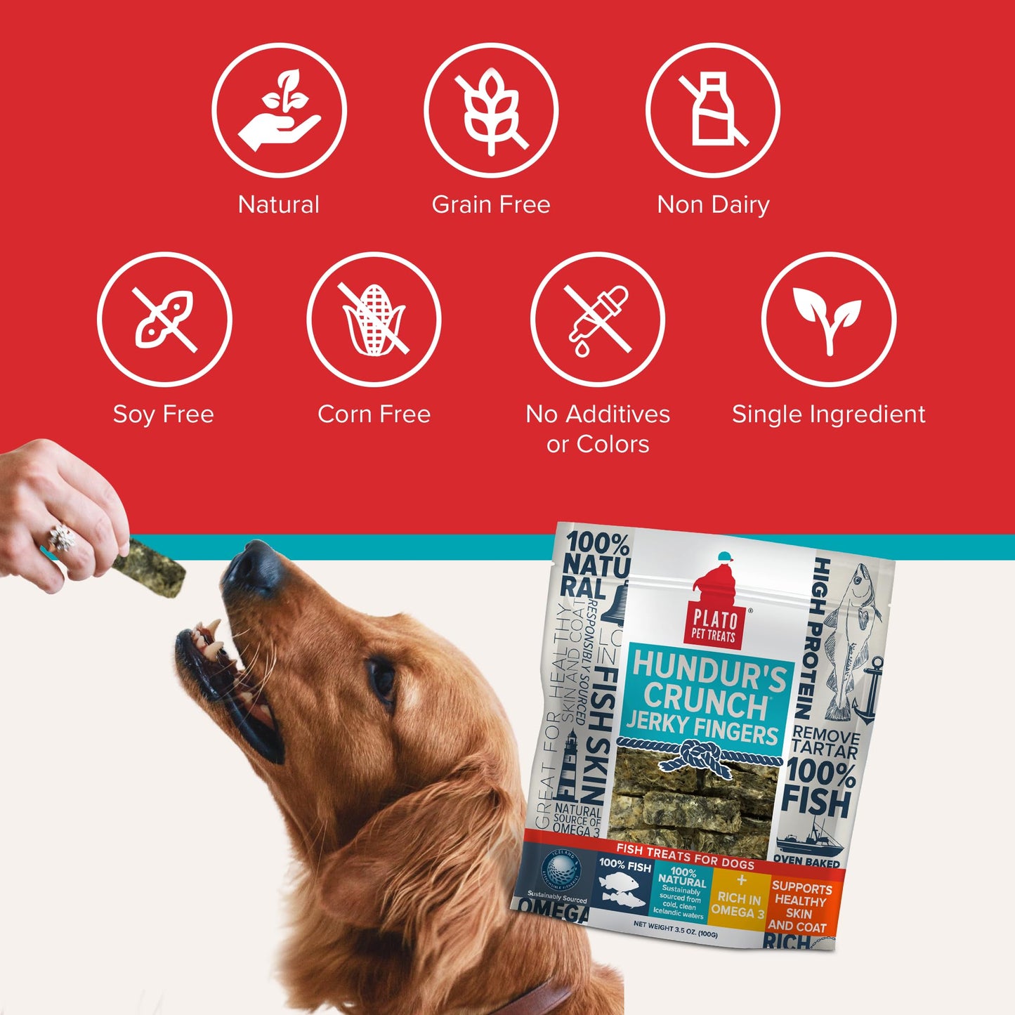 Plato Single Ingredient Wild-Caught Cod Skin Bites Dog Treats, Air-Dried Omega-Rich Skin & Coat Support, 10 oz