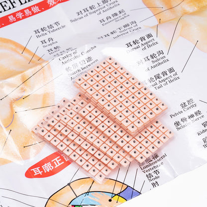 1200 Piece Acupressure Ear Beads Ear Counts Acupuncture Acupressure Tools Disposable